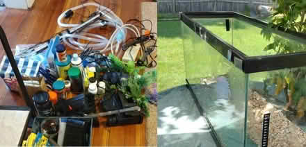 Photo of free 30 G aquarium tank, supplies (S Weymouth) #1