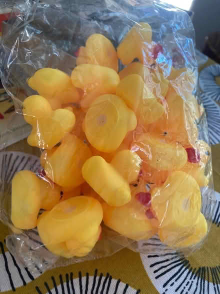 Photo of free Small rubber ducks (LA1 Lancaster) #1