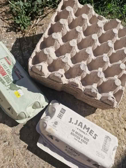 Photo of free Many empty eggs boxes (Yarnton OX5) #1