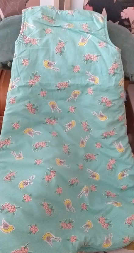 Photo of free Baby sleep gro (Liverpool City Centre L1) #2
