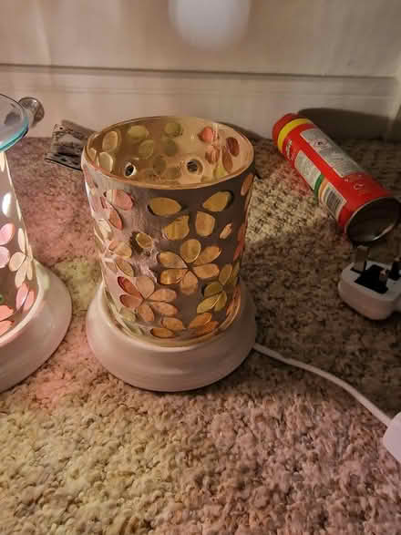 Photo of free Electric wax melts (Westhampnett) #2