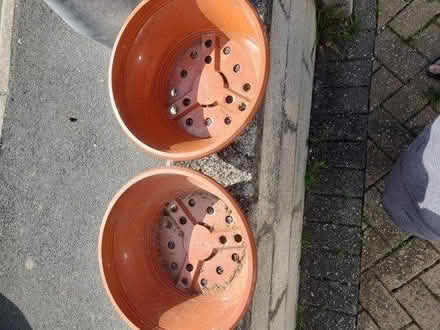 Photo of free Garden stuff (TR7) #1