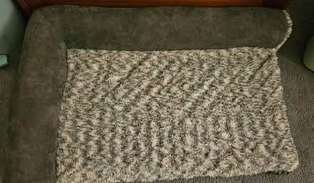 Photo of free New dog bed, e collars til Th 9.7 (Powhatan Crossing) #2