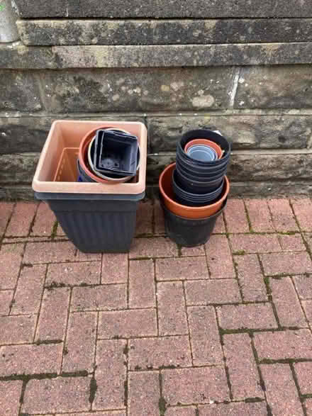 Photo of free Plastic plant, pots and containers (Torrisholme LA4) #2