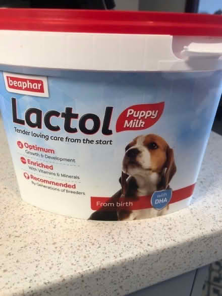 Photo of free Puppy Replacement Milk (CT19) #1
