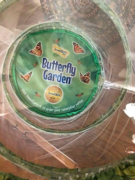 Photo of free Butterfly net (Ashton CH3) #1
