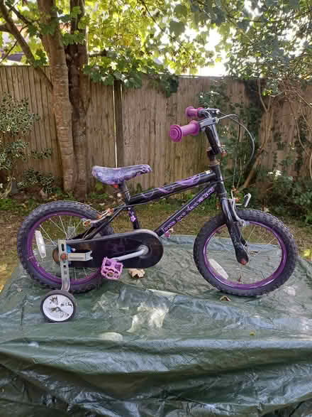 Photo of free Girls bike (Trewoon) #3