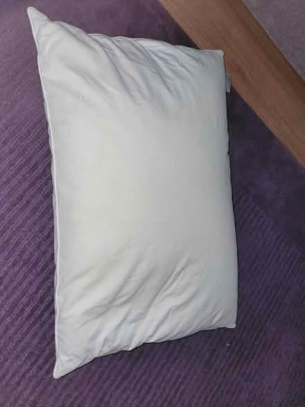 Photo of free Duck Feather and Down Pillow (St Albans AL2) #1