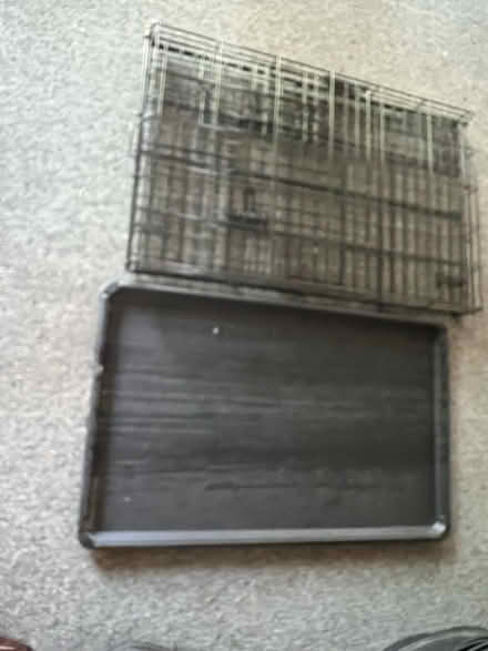 Photo of free dog crate (Chester Springs) #1