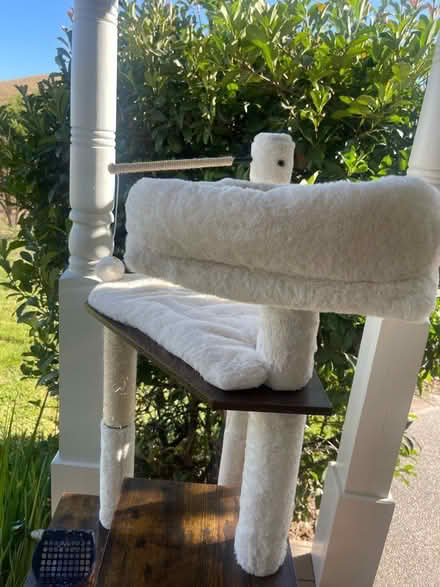 Photo of free Cat Tree (North Livermore) #2