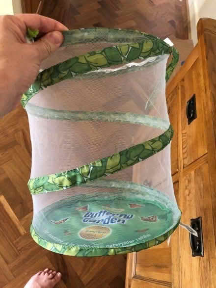 Photo of free Butterfly net (Ashton CH3) #2