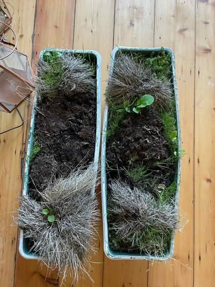 Photo of free 2 x Planters/Window Boxes (BN3) #2