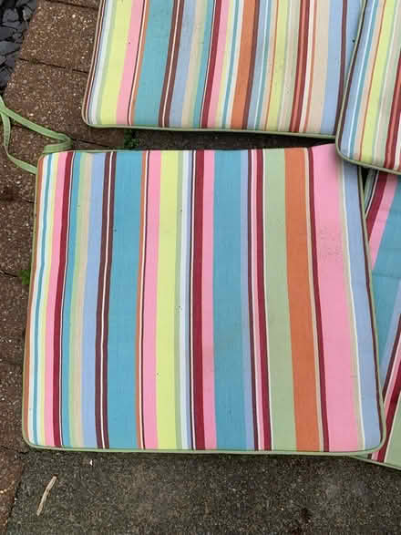 Photo of free Garden chair seats (Yardley Wood B14) #2