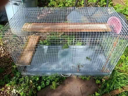 Photo of free Small animal cage (West Midlands B31) #1