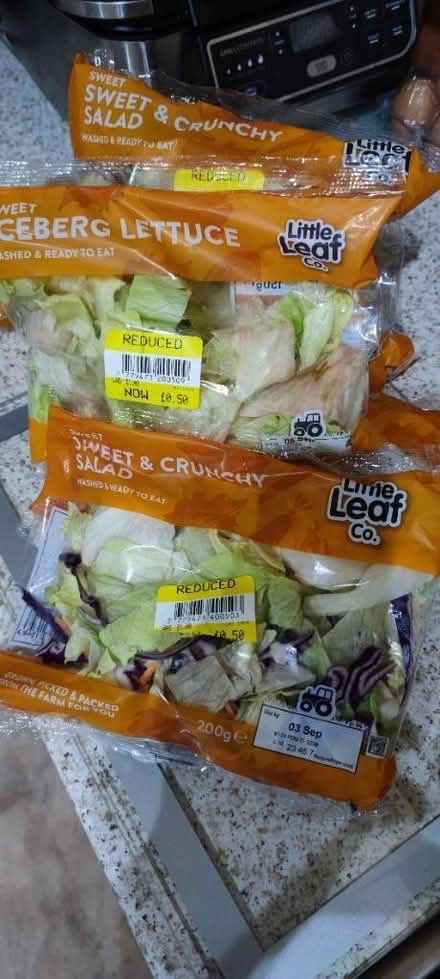 Photo of free Lettuce (Leverington PE13) #1