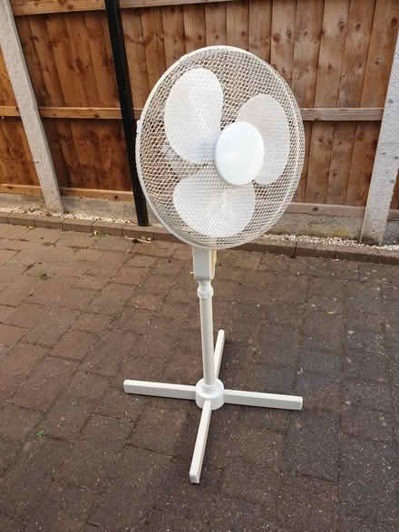 Photo of free Oscillating pedastal fan (Allestree DE22) #1