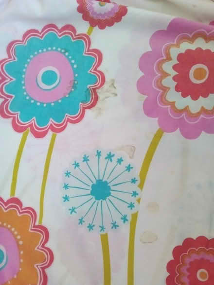 Photo of free Single duvet cover (Eastbourne BN21) #1