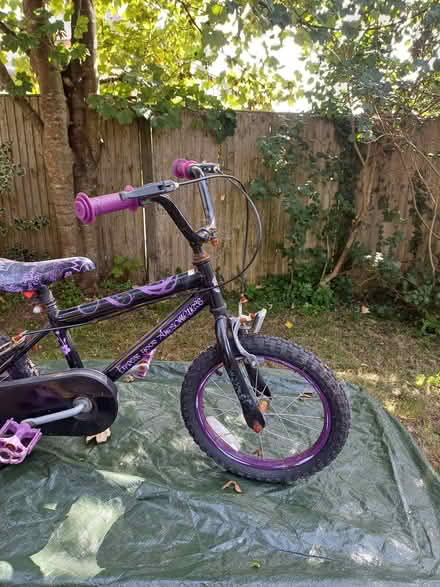 Photo of free Girls bike (Trewoon) #1