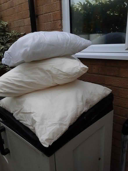 Photo of free Cushion filling (Taunton) #1