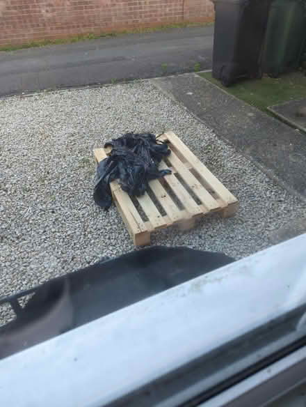 Photo of free Wooden Pallet (Thatcham) #1