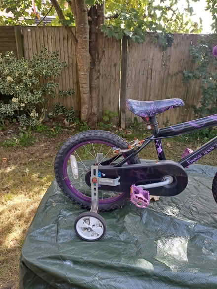 Photo of free Girls bike (Trewoon) #2