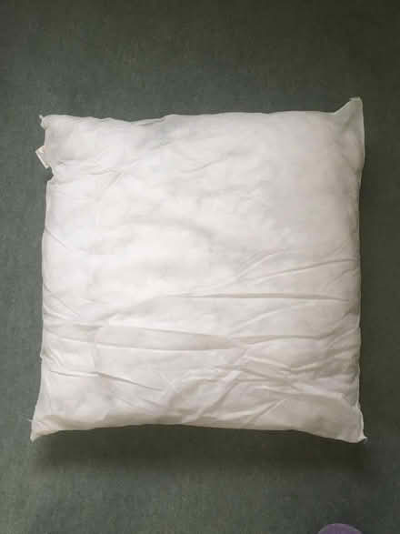 Photo of free Cushion inner (Bishops Cleeve GL52) #1
