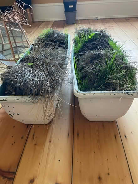 Photo of free 2 x Planters/Window Boxes (BN3) #1