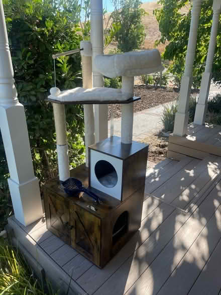Photo of free Cat Tree (North Livermore) #1