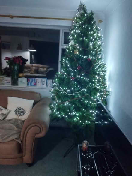 Photo of free 6 foot artificial Christmas Tree (Birch Vale SK22) #1