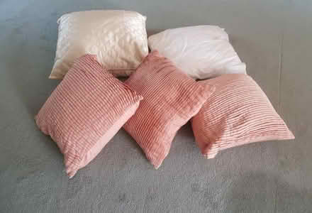 Photo of free Five cushions (Heswall CH60) #1