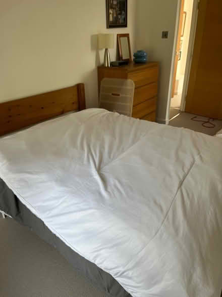 Photo of free Primark double duvet (London Fields E8) #3
