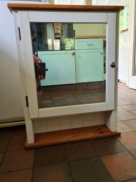 Photo of free Bathroom cabinet (Combe St Nicholas TA20) #1