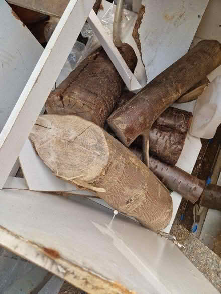 Photo of free Logs (Wickford) #1