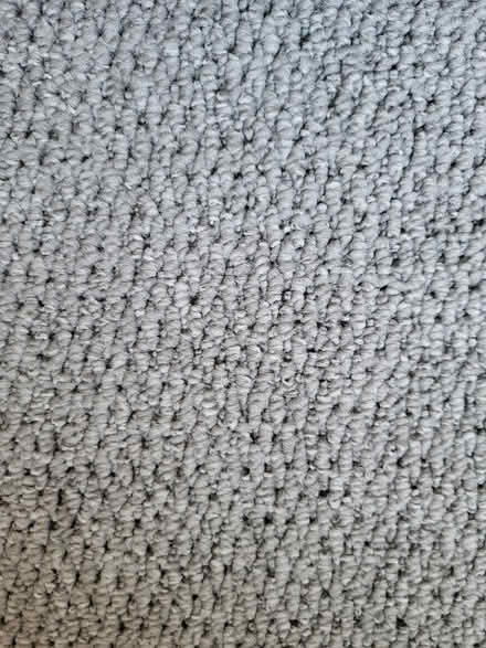 Photo of free Carpet offcut (Upton CH49) #2