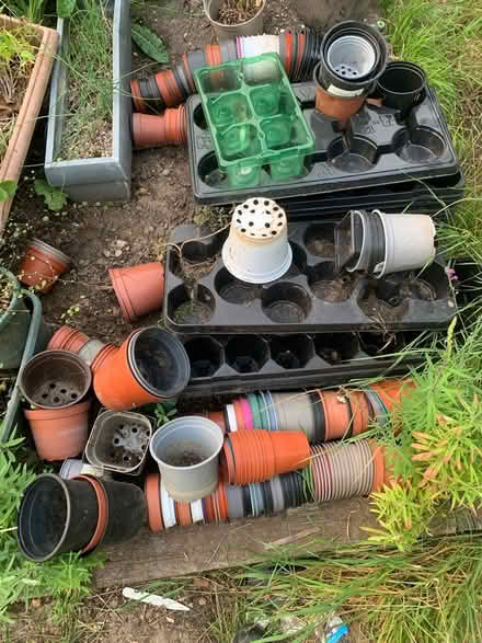 Photo of free Flower Pots & Trays (Lexden, CO3) #1