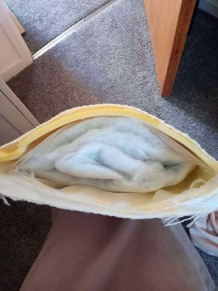 Photo of free Inside a memory foam pillow (AB15) #2