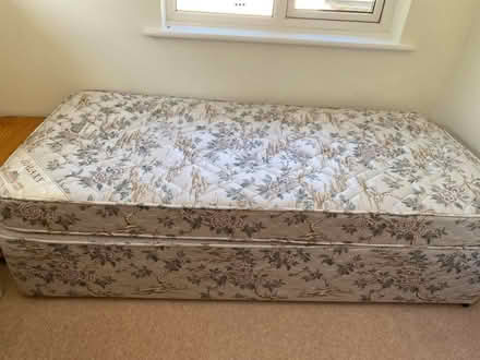 Photo of free Single divan bed (Bradford on Avon BA15) #1