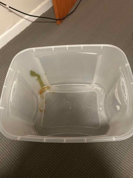 Photo of free 18 gallon plastic tub (Brighton) #1