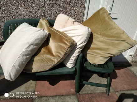 Photo of free Large sofa cushions (Sale M33) #1