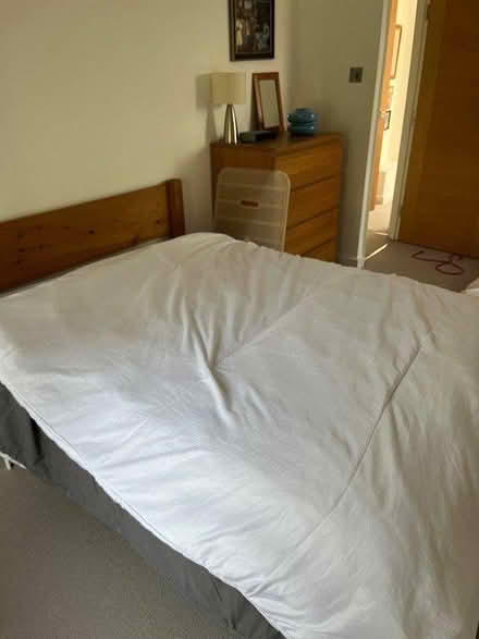 Photo of free Primary double duvet (London Fields E8) #2