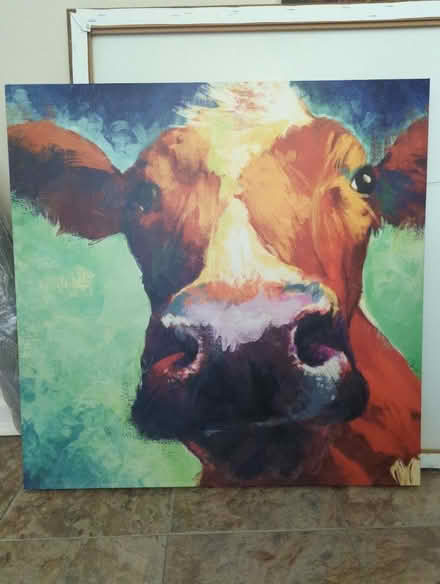 Photo of free Cow canvas wall art (Denbigh) #1