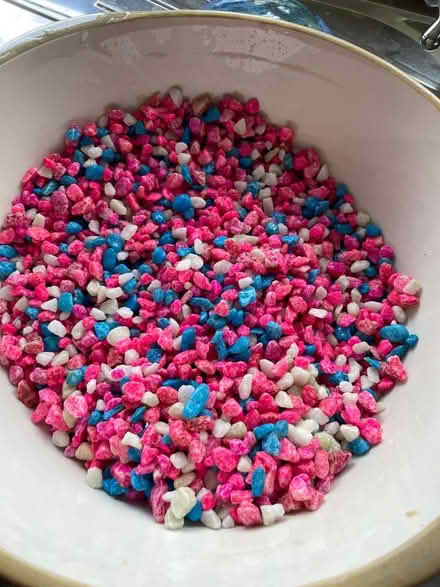 Photo of free Aquarium stones (Thurmaston) #1