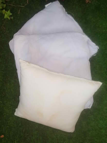 Photo of free Three cushion inserts (W10 - Ladbroke Grove) #1