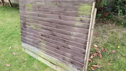Photo of free Fence panels (Hurst Golf Course RG41) #1