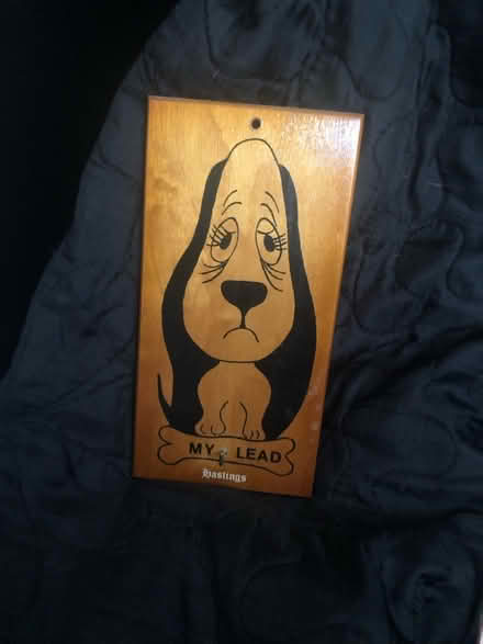 Photo of free Dog lead hook (Leigh kent) #1