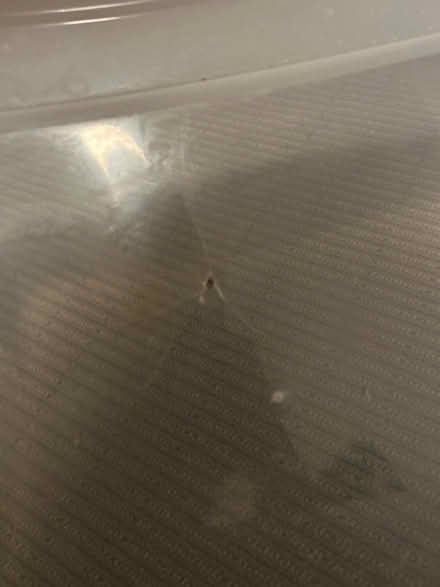 Photo of free 18 gallon plastic tub (Brighton) #2