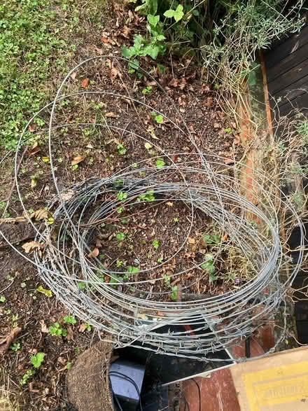 Photo of free galvanised fencing wire (sidlesham) #2