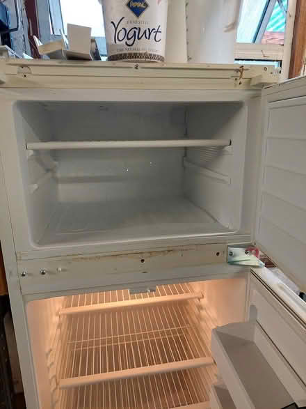 Photo of free Fridge Freezer (Twickenham TW2) #3