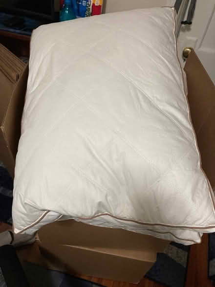 Photo of free Down Pillows (Petworth) #1