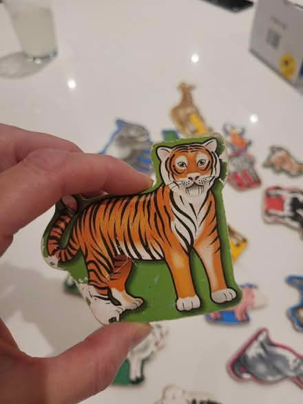 Photo of free Animal magnets (Letchworth SG6) #2